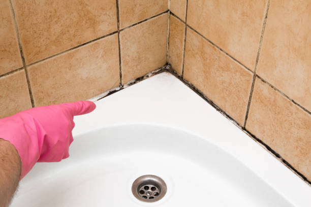 Best Mold Testing  in Niles, MI